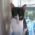 ../../superadmin/superadmin/largeupload/hkcr1286448056.jpg
