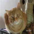 ../../superadmin/superadmin/largeupload/hkcr1286452035.jpg