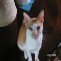 ../../superadmin/superadmin/largeupload/hkcr1286452138.jpg
