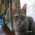 ../../superadmin/superadmin/largeupload/hkcr1286452210.jpg