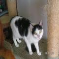 ../../superadmin/superadmin/largeupload/hkcr1286501520.jpg