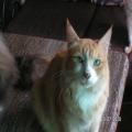 ../../superadmin/superadmin/largeupload/hkcr1286502342.jpg