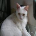 ../../superadmin/superadmin/largeupload/hkcr1286505669.jpg