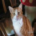 ../../superadmin/superadmin/largeupload/hkcr1286507658.jpg