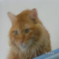 ../../superadmin/superadmin/largeupload/hkcr1287044604.jpg