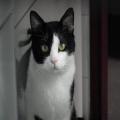 ../../superadmin/superadmin/largeupload/hkcr1302773125.jpg