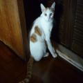 ../../superadmin/superadmin/largeupload/hkcr1302774363.jpg