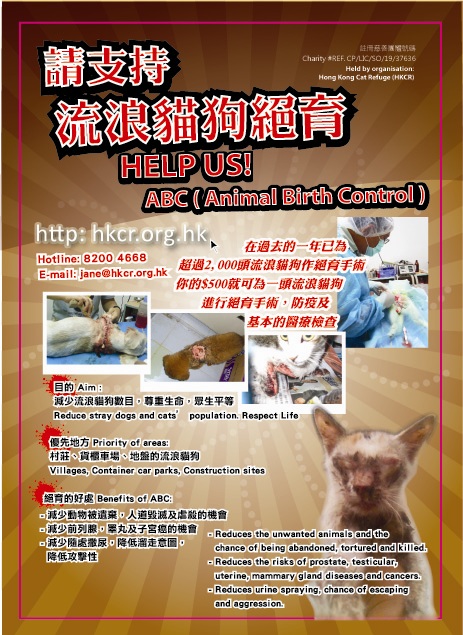 1253092651---support_abc_plan.jpg